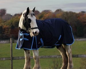 Tapis de participation pour chevaux léger sans remplissage Standard Neck Waterproof - Product Image 3