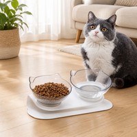 Bol d'alimentation pour animaux de compagnie avec design oreilles de chat, bord incliné anti-renversement et hauteur ergonomique pour chats et petits chiens