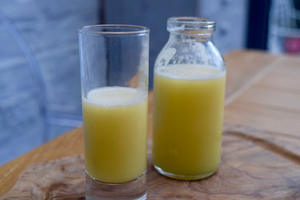 GINGEMBRE ENRAINÉ/CONCENTRÉ PROPRE/SOUTIEN BOTANIQUE/ÉQUILIBRE IMMUNITAIRE - Product Image 6