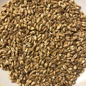 Máquina de granos de trigo de sésamo seco blanco personalizada para uso agrícola disponible a granel para alimentación animal - Product Image 6