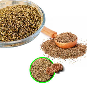 Carom (ajwain) | สมุนไพรทำอาหารขายส่ง | เกรดสะอาด - Product Image 3