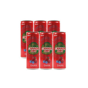 Boisson gazeuse canadienne rafraîchissante au gingembre, 330 ml - Product Image 6