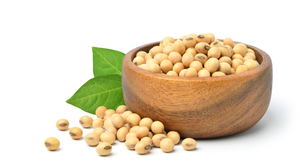 Vente en gros de graines de soja biologiques soja frais et séché meilleur prix soja en vrac à vendre en ligne - Product Image 2