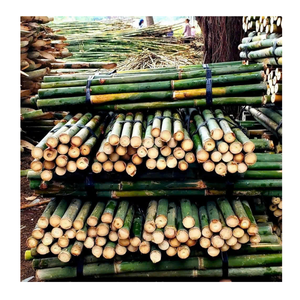 Postes de bambú de alta resistencia para construcción y plantas Postes de bambú de calidad de enrejado para diversas aplicaciones de construcción - Product Image 3