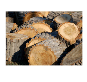 Troncos de madera de olmo de alta calidad en venta a bajo precio, ideales para la fabricación de muebles y la producción de madera. - Product Image 5