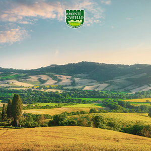 Monte Castello Lentilles conservées italiennes sans OGM 100% Agriculture Control vente en gros 500gr ou 1kg emballé en sac - Product Image 6