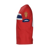 Venta al por Mayor de Fábrica, Camisetas de Fútbol Personalizadas con Nombre de Equipo y Jugador en la Parte Delantera, 100% Poliéster, Antibacterianas, de Secado Rápido y Alta Calidad