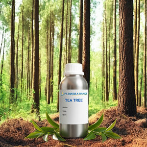 Huile Essentielle d'Arbre à Thé de Haute Qualité, Fraîche, Biologique, Grade Aromatique, 100% Pure, Fournisseur Vérifié, Meilleur Prix, Vrac 1kg - Product Image 2