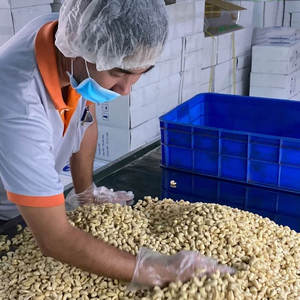 เม็ดมะม่วงหิมพานต์แบบ W180บรรจุแบบสูญญากาศปิดผนึกทั้งเม็ดมะม่วงหิมพานต์แบบไม่มีเปลือกทำจากเม็ดมะม่วงหิมพานต์สีขาวธรรมชาติ - Product Image 3