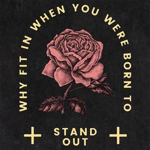 เสื้อยืดผ้าฝ้าย100% ผู้ชาย2024สไตล์วินเทจ250กรัมรุ่นเฮฟวี่เวท3D โอเวอร์ไซส์สำหรับงานปักลายพัฟผ้าถัก - Product Image 4