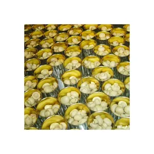 하이 퀄리티 신선한 통조림 전체 버섯 판매
