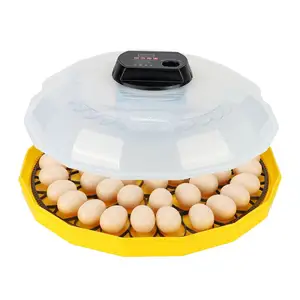 Hot Sale 48 Egg Automatic Chicken Machine Poultry Farming Equipment Egg Incubator