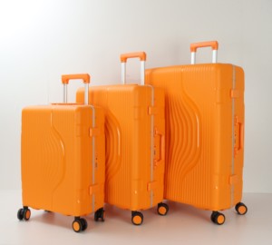 <span class=keywords><strong>2025</strong></span> mới nóng bán đơn giản siêu nhẹ PP chất liệu nhôm khung <span class=keywords><strong>TSA</strong></span> kết hợp khóa 3 mảnh Bộ - Product Image 2