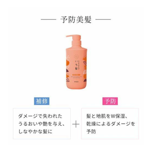 Bán buôn Kracie Ichikami giàu W chăm sóc độ ẩm gel dầu gội 480ml mịn & thiệt hại chăm sóc phổ biến tại Nhật Bản - Product Image 3