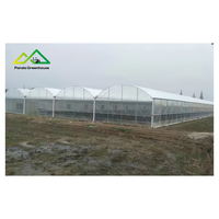 Hotselling grote multi-span polyethyleen folie kas, PO PE folie kas kit en kasbeplantingsplan