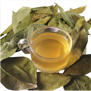 Meilleur prix, approvisionnement premium pour l'exportation de sachets de thé de feuilles de corossol et de poudre de guanabana, emballage en vrac avec prix d'usine flexibles - Product Image 2