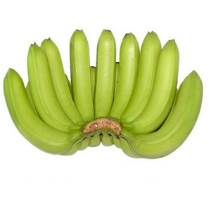 Plátano Cavendish verde fresco de alta calidad, el mejor y más popular de los frutos. - Product Image 1