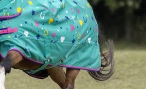 พรมม้าท้องฟ้าสีฟ้ากันน้ำ, ผ้าคลุมฤดูหนาวฤดูร้อนขี่แข่งระบายอากาศป้องกันฝนทำจากวัสดุผ้าฝ้ายโพลีเอสเตอร์ - Product Image 3