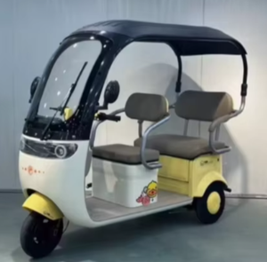 Nuevo triciclo ORIGINAL eléctrico de alta calidad para adultos triciclos eléctricos de ciudad 800W - Product Image 1