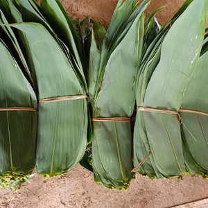 ใบไผ่แห้งราคาถูกจากเวียดนามสีฟ้าบัวในกลุ่ม - Product Image 6