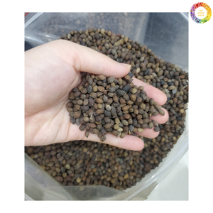 Vente en gros de graines de papaye séchées pour tisane, graines de papaye carica nettoyées séchées | Graines de papaye naturelles pour l'exportation et le vrac - Product Image 6