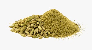 Direct Factory Supply <b>Fennel</b> <b>Powder</b> Natural Spice for Indian or Asian and Global Cuisine Available at Export Price - Product Image 5