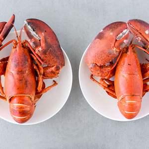 Queue de homard entière canadienne et européenne, processus BQF, 10 kg, en pot Mason, surgelée, 2 cm, de bonne qualité, à vendre - Product Image 4