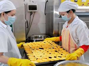 Tranches d'ananas séchées DISPONIBLES pour les usines de transformation de fruits secs nécessitant des approvisionnements stables en provenance du Vietnam - Product Image 5