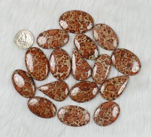 Nouvel Arrivage Naturel Pomme Fossile Corail Multi Forme Haute Poli Lâche Lot Pierres Précieuses Pour La Fabrication À La Main Pendentif En Argent - Product Image 4