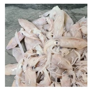 Calamar géant congelé de haute qualité, entier et rond, produit de la mer - Product Image 6