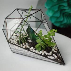 Nouveau jardinière en verre de Terrarium fini noir pour la décoration de jardin jardinière de Terrarium pour la décoration intérieure et extérieure - Product Image 3
