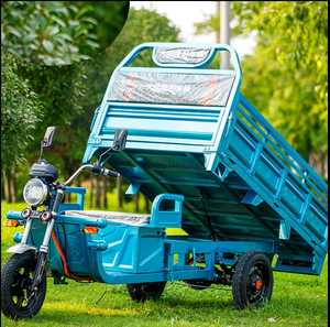 รถสามล้อไฟฟ้าสำหรับทุกวัย รุ่น FAST BEST แข็งแรงทนทาน พร้อมห้องเก็บของ สำหรับบรรทุกสัมภาระ เหมาะสำหรับผู้สูงอายุ - Product Image 1