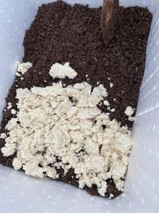 ส่งออกเยื่อชานอ้อยบริสุทธิ์50ตาข่ายสำหรับการผลิตเยื่อกระดาษ - Product Image 2