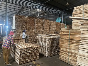 Fabricante Venta Directa madera de acacia precio madera especie madera de acacia madera aserrada para hacer palés, muebles - Product Image 5