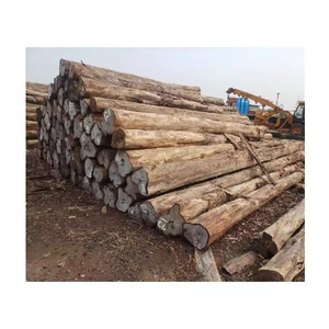 Affordable sapele wood <b>logs</b> supplied in bulk for long term buyers - Product Image 6