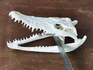 Tradebyd Premium Résine Animal Sculpté Figurine Artisanale Statue Décorative pour Maisons Élégantes et Acheteurs de Cadeaux - Product Image 2