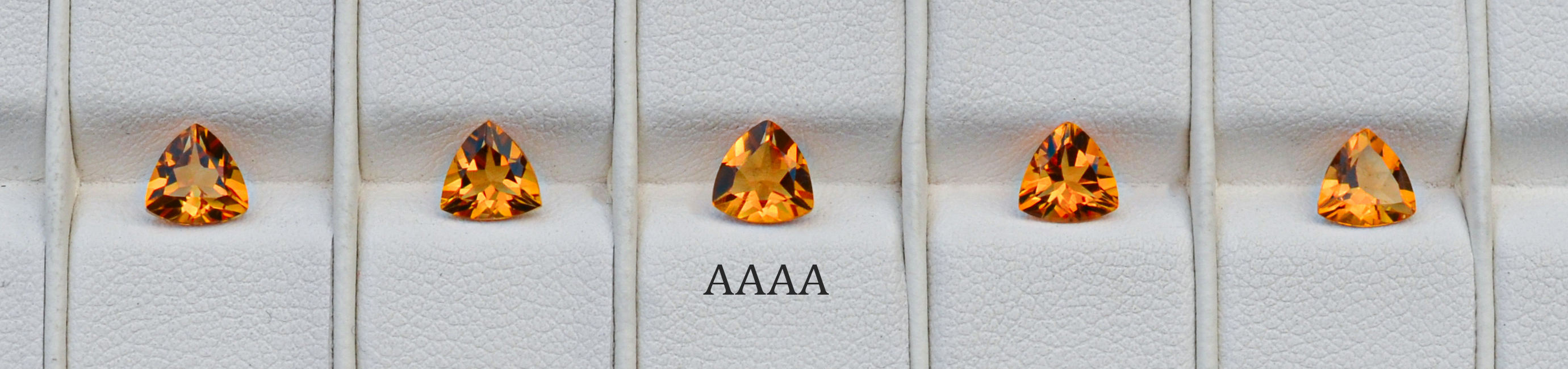 AAAA