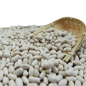Venta al por Mayor de Frijoles Rojos Orgánicos Secos en Empaque a Granel de 25 kg, Nueva Cosecha de Alemania - Product Image 4