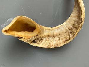 แตรแกะแท้ขัดธรรมชาติสำหรับตกแต่งและงานฝีมือคุณภาพสูง - Product Image 1