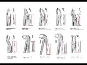 Fórceps de extracción dental | Múltiples patrones y formas disponibles | Instrumentos de extracción de dientes de acero inoxidable al por mayor - Product Image 2