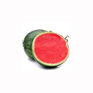 Sandía rayada, fruta fresca, dulce y crujiente para exportación, compradores, minoristas y cadenas de suministro alimentario internacionales - Product Image 3