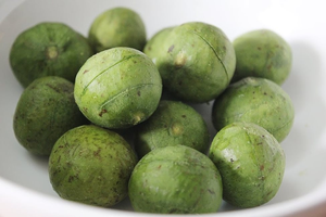 ผลไม้แช่แข็งคุณภาพส่งออก ดรากอนเมลอน จำหน่ายจำนวนมาก พร้อมบริการตัดและบรรจุภัณฑ์ตามความต้องการ - Product Image 6