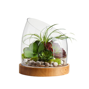 Terrarium décoratif en verre pour mariage ou fête, pour décoration intérieure ou extérieure, Terrarium de table en bois et en verre - Product Image 2