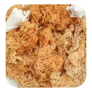 Dried sea moss provides many benefits to keep the body healthy, Tom