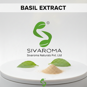 Poudre d'extrait de Tulsi (basilic) sauvage de qualité assurée pour les acheteurs en gros dans les industries botaniques et végétales - Product Image 4