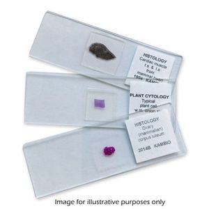 Portaobjetos de microscopio preparados Compact Bone T.S. Descalcificado y Teñido - Product Image 1