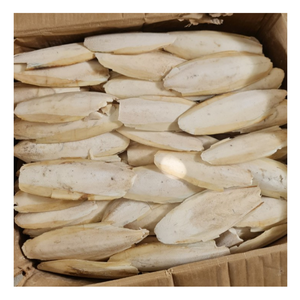 Stylish <b>Cuttlefish</b> Bone From Vietnam, Eco-Friendly <b>Cuttlefish</b> Bone For Pets, Fresh <b>Cuttlefish</b> Bone For Polishing In Bulk - Product Image 6