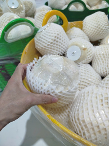 มะพร้าวเบนเต้เวียดนามแท้ พรีเมียม คุณภาพเยี่ยม สดใหม่ระดับโลก อายุการเก็บรักษา 60 วัน - Product Image 5