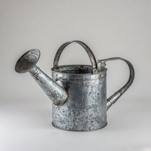 Canette galvanisée inspirée du patrimoine avec bec coudé et poignée ronde pour une utilisation décorative et pratique - Product Image 3