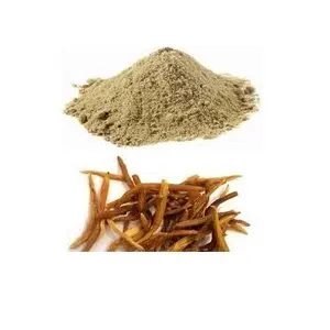 优质天然有机芦笋根提取物Shatavari根提取物粉末20:1来自印度